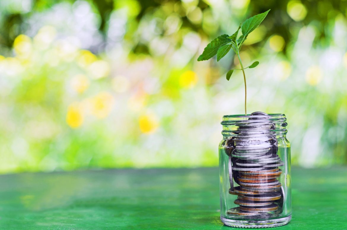 Reducing Risk and Volatility: A Historic Opportunity to Buy