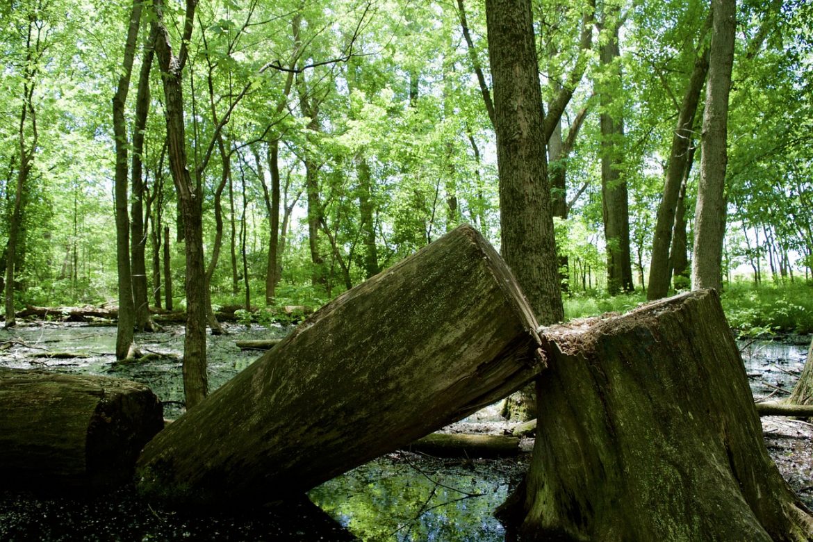 Will This 7.3% Yield Be Chopped Down?