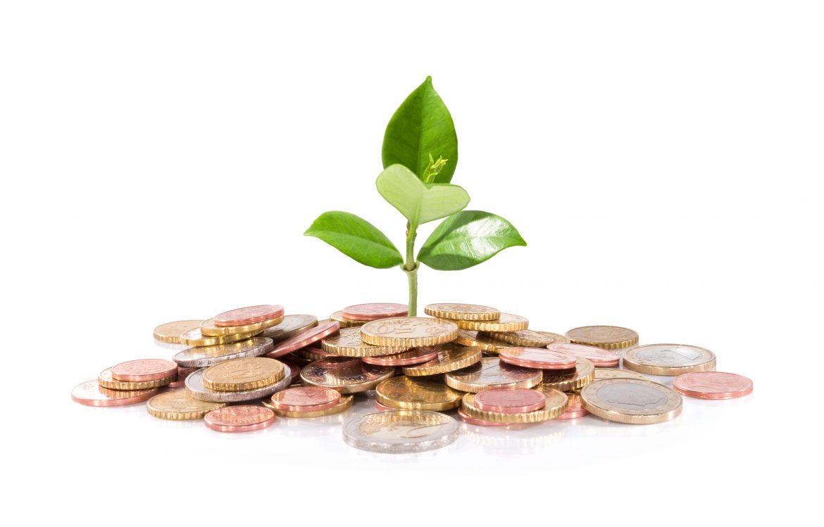 Give the Best Gift Ever: A Money Tree