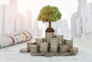 A tree growing on top of stacks of coins