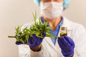 Image of a doctor offering her patient medical cannabis