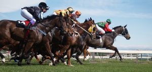 Image of racehorses leaving the gate