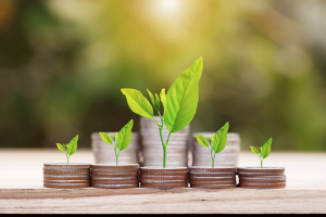 Image of stacks of coins with sprouts growing from them, indicating investments held in a closed end fund whose gains or losses affect the total price