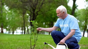 Image of a senior man volunteering in a garden