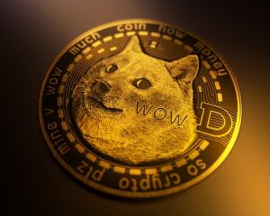 Image of a Shiba Inu on a Dogecoin logo