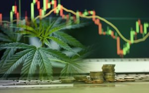 Marijuana leaf and chart signifying weed stocks