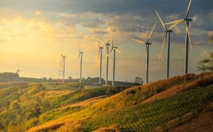 Image of wind turbines on sunny morning