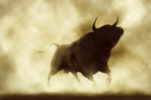 Image of a bull silhouette