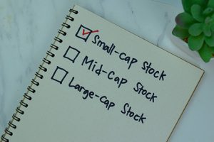 Small cap stock concept written in notebook