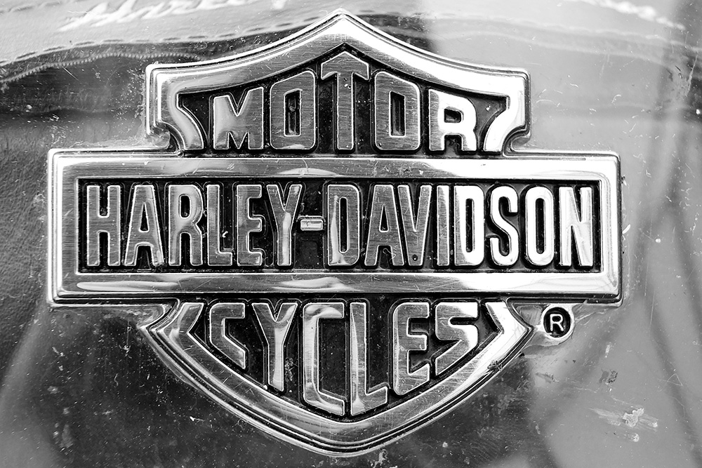 Image of the Harley-Davidson logo on a motorcycle