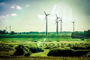 Wind turbines in an open field