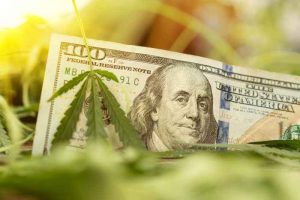 A $100 bill partially covered by several marijuana leaves