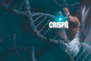 A graphic of a scientist working on a strand of DNA, with “CRISPR” in the foreground