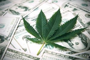 A marijuana leaf lying on top of a pile of U.S. dollar bills