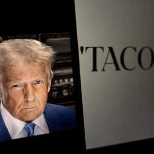 Article