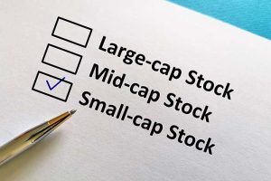 Three boxes next to the words “Large-cap Stock,” “Mid-cap Stock,” and “Small-cap Stock,” with the “Small-cap Stock” box checked