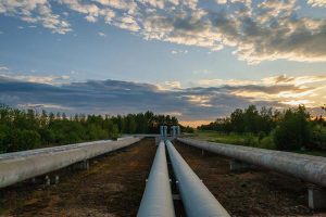Several oil and gas pipelines running parallel to one another, surrounded by trees and bushes