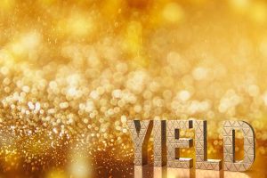 The word “YIELD” written in gold against a gold background